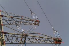Gefährlich: Störche nisten auf Strommast